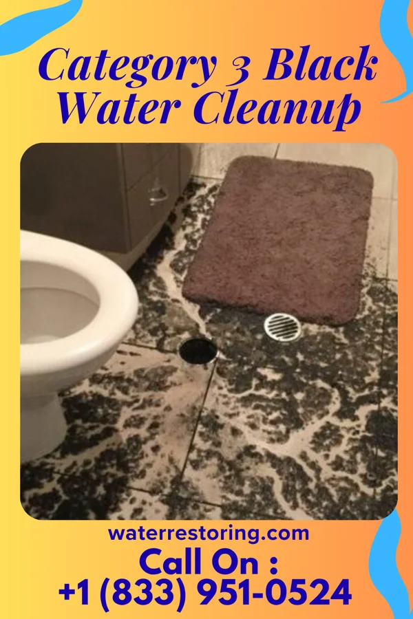 Category 3 Black Water Cleanup in Deschutes River Woods, OR