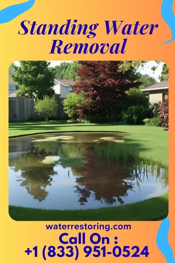 Standing Water Removal in Deschutes River Woods, OR